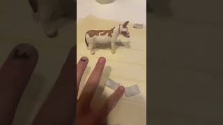 FACCIAMO DEGLI OGGETTI PER GLI SCHLEICH con il das [upl. by Riess341]