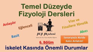 Temel Fizyoloji Dersleri Kas Fizyolojisi  Optimal Uzunluk Tetani Yorgunluk Kasılma Tipleri [upl. by Richards287]