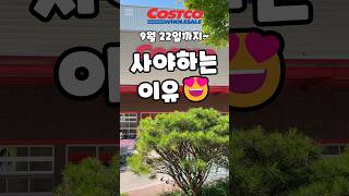 코스트코 9월 22일까지 사야하는 이유 costco 코스트코 코스트코추천템 코스트코할인 코스트코추천상품 [upl. by Schwerin]