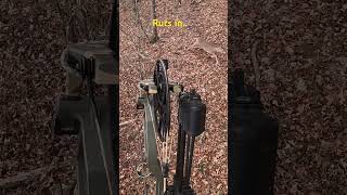 Rut  funny huntingseason archery reels bowhunting nature shorts fyp viral trend free [upl. by Quintana]