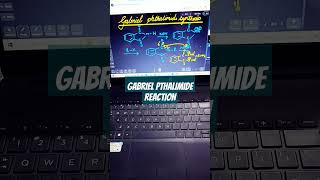 GABRIEL PHTHALIMIDE SYNTHESISnamereactions gabrielphthalimidesynthesis organicchemistry science [upl. by Weintrob]