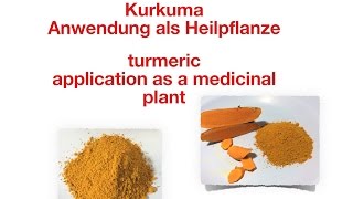 Kurkuma  Anwendung als Heilpflanze [upl. by Kulseth547]