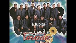 banda tamazulas de guasave el huizache álbum completo [upl. by Ellierim]