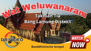 4K 🇹🇭 Wat Weluwanaram Takhian Tia  Boeddhistische tempel  2024 [upl. by Forest]