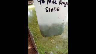 Azolla plants delivered to 9th mile Enugu State in Nigeria [upl. by Ttenneb]