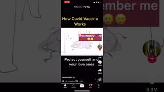 How Covid vaccine works 2021 covid19 ragdolls [upl. by Keon]