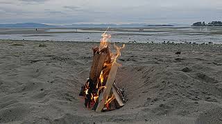 Beach fire at Tigh Na Mara Resort Relaxing View [upl. by Lleynod]