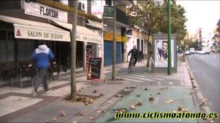 El carril bici de Sevilla [upl. by Ielarol547]