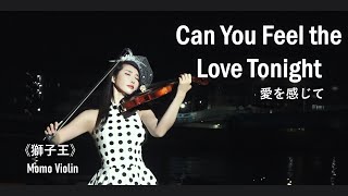 Can You Feel the Love Tonight  《獅子王》小提琴Violin Cover by Momo愛を感じて バイオリン [upl. by Chery212]