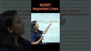 Types Of Phloem  Revision Biology NEET  NCERT important lines for NEET  medicalentranceneet2025 [upl. by Waltner882]