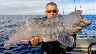 Deep Sea Fishing in the Arctic Circle  Huge Cod Coalfish Wolffish and Halibut  The Fish Locker [upl. by Brandi]