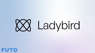 Announcing our 200k Grant to the Ladybird Browser [upl. by Ibba443]