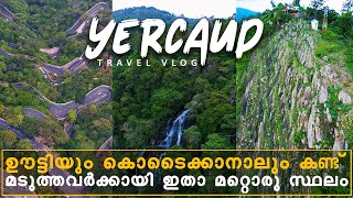 മലയാളികൾ ഇനിയും explore ചെയ്യാത്ത ഒരിടം  Yercaud 2 Days Travel Guide  The Land Yet to Explore [upl. by Eseuqram840]