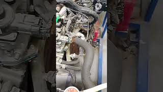 Maruti Suzuki petrol Engine shortvideo vayera video 🚂🚃 [upl. by Tobiah]