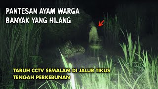 Pasang CCTV di Jalur Tikus Perkebunan Pantau Si Harja Malah Rekam Orang Aneh  CCTV HOROR 35 [upl. by Werna825]