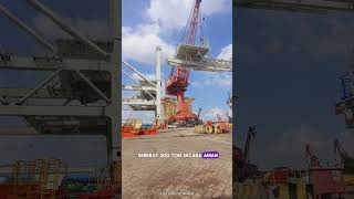 Crane Raksasa 300 Ton Kekuatan Besar di Balik Proyek Infrastruktur Raksasa [upl. by Edith]