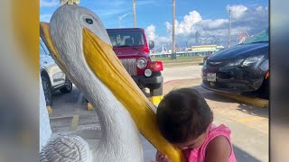 Giant concrete pelican stolen from outside Galveston seafood restaurant [upl. by Nnaassilem]