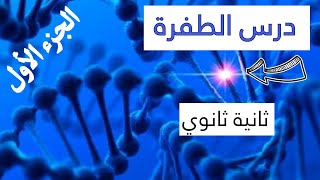 ⛔درس الطفرةالجزء الأول للشعبتين علوم تجريبية ورياضيات ✌️مفيد جدا في البكالوريا 👌انطلقوا 🏃‍♂️ [upl. by Issak601]