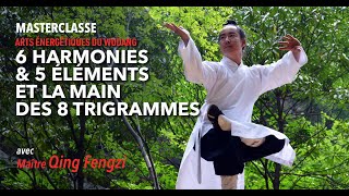 Masterclass Maître Qing Fengzi [upl. by Archambault]