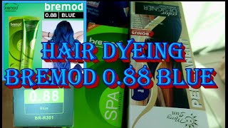 Bremod Blue  088 Permanent Hair Color DIY Procedure [upl. by Nuris]