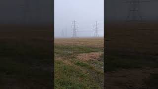 Hailstones South Alloa Airth Station Falkirk District Scotland UK [upl. by Gnohp]