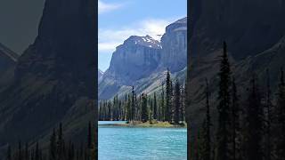 Beautiful Maligne Lake Jasper shortsvideo shorts viral jasper lake [upl. by Nogas]