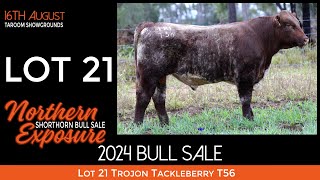 Lot 21 Trojon Tackleberry T56 [upl. by Idnek]