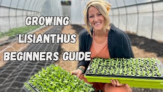 Growing Lisianthus  A Beginners Guide  Whispering Willow Farm [upl. by Ecnahoy]