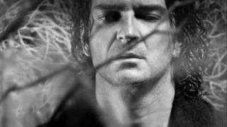 Ricardo Arjona  El Amor [upl. by Adlanor]