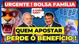 GOVERNO DESCOBRIU TUDO Muitos cancelamentos de BOLSA FAMÍLIA podem acontecer [upl. by Ire]