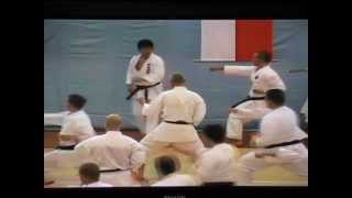 Sensei Manabu Murakami 2  seminar SKIF kancho Hirokazu Kanazawa in Czech Rebublic 2007 [upl. by Higinbotham]