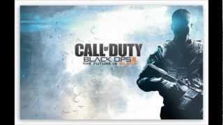 Ultraviolence by Cliff Lin amp RipTide Black Ops II Custom Mix [upl. by Aniweta382]