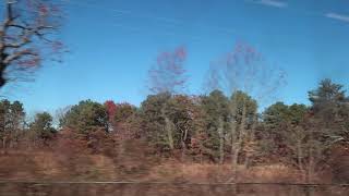 A Look At What We Could Lose If The Pine Barrens east of Pinelawn Are Destroyed From LIRR M9 [upl. by Nywde52]