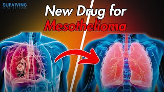 Could Lenvatinib Help Mesothelioma Patients Live Longer [upl. by Kimmel73]