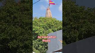 Bhaibij dwarka Gomti ghat snandwarka viralvideo [upl. by Yelrak]