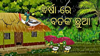 Barsa Re Bataka Chuaa \\ Odia Stories \\ Odia Gapa \\ New Odia Story \\ Chadhei Gapa \\ Kahani [upl. by Endres784]