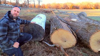 Chainsaw Mill vs Bandsaw Mill  Which is Right for You [upl. by Nerraf]