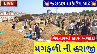 🔴 મગફળી ના ભાવ  live groundnut trading price today in jasdan APMCNovember 27 2024 [upl. by Marnia826]