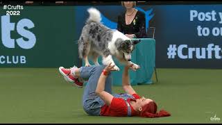 Crufts 2022 Dog Dancing Freestyle Routine  Jen and Daiquiri  Canada [upl. by Natye]