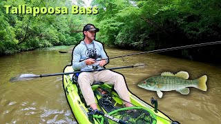 River Fishing For Tallapoosa Bass Georgia Bass Slam [upl. by Asseret43]