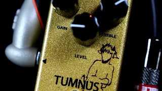 WAMPLER TUMNUS  EPIC REVIEW [upl. by Yoral923]