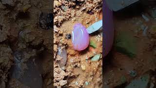 Full video on homepagegems agatecrystalgoldGemsdiamondsgold minesemeralds pearl [upl. by Mcclenon889]