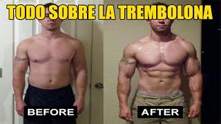 TREMBOLONA TODO LO QUE DEBES SABER  POWERGFITNESS [upl. by Yffub]