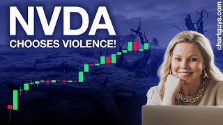 NVDA Chooses VIOLENCE [upl. by Eeima]