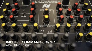 Analogue Solutions Impulse Command  Choppy Bass [upl. by Hamaso214]