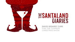 The Santaland Diaries 2016 [upl. by Krik122]