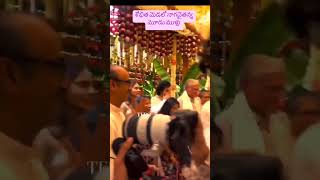 Naga Chaitanya Shobhita Dhulipala Marriage Video nagachaitanya shobhitadhulipala entertainment [upl. by Odlavso]