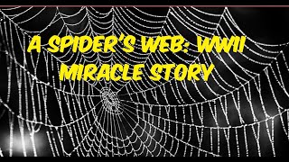 A Spiders Web WWII Miracle 🕸️ [upl. by Gnos]