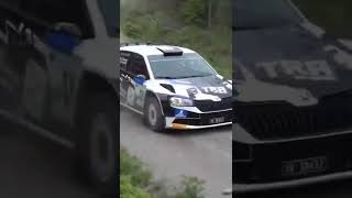 27Juni2022 Rally AurskogHøland SS5 004 rallycar ralley rally shorts [upl. by Akimahs]