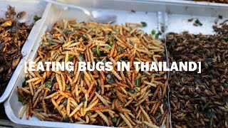 Watch me eat a massive cockroach in Thailand and 4 other types of bugs [upl. by Avivah553]